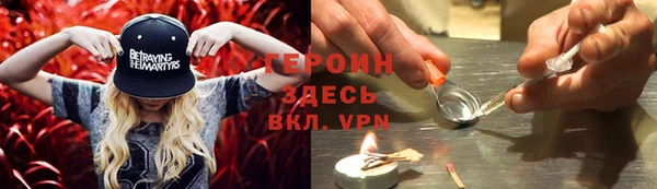 шишки Аркадак