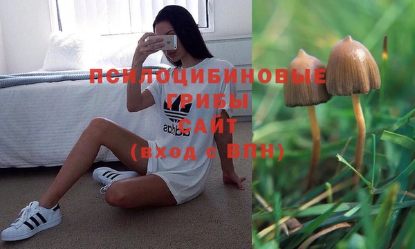 стафф Алексеевка