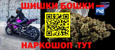 прущие грибы Гай