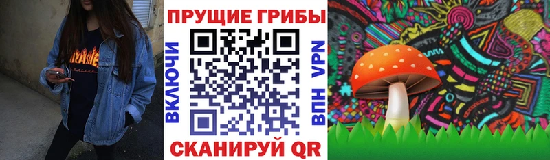что такое наркотик  Гуково  Псилоцибиновые грибы GOLDEN TEACHER 